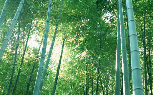 448288 (a): :1920x1200